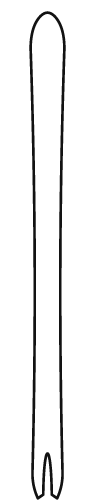 Ski