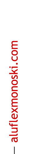 Monoski